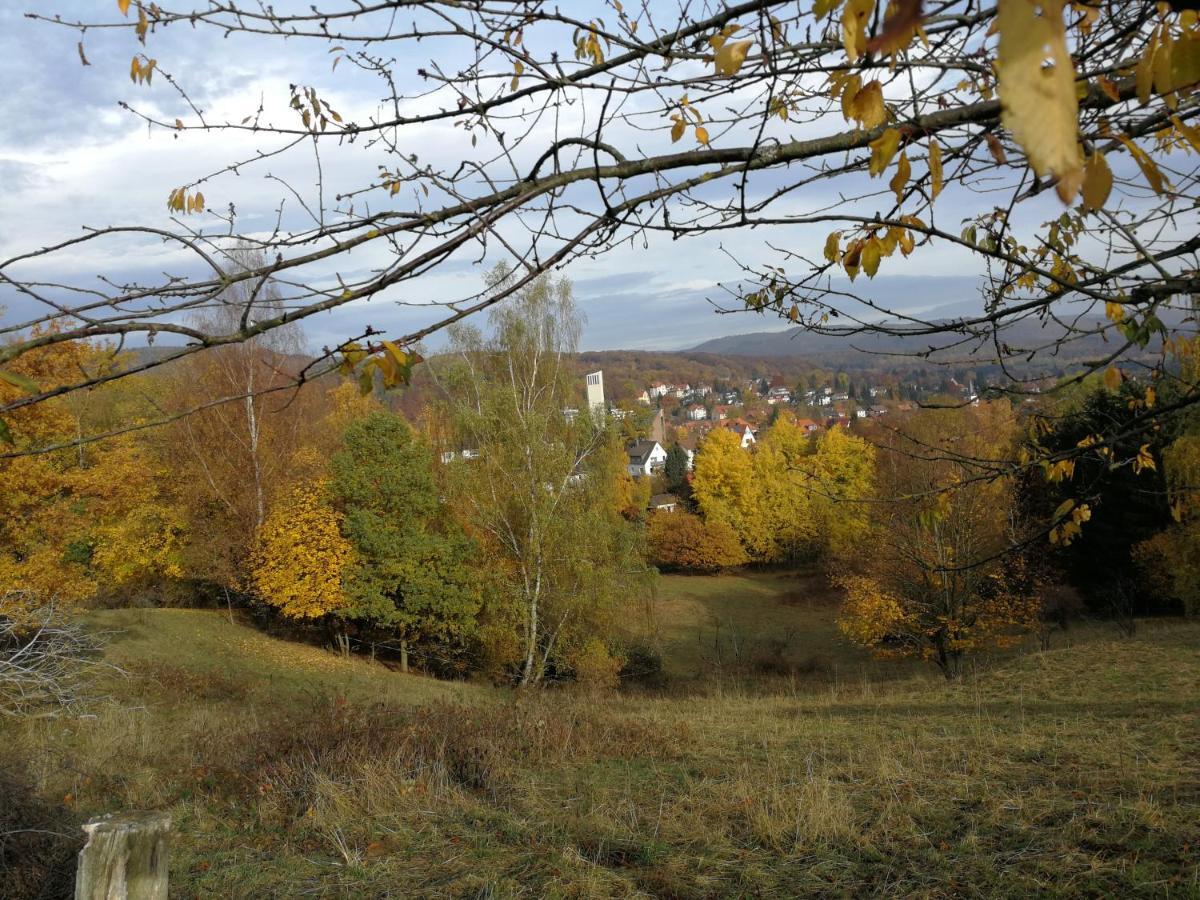 Apartamento Ravensbergblick - Harzlich Willkommen In Bad Sachsa Exterior foto